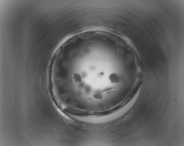 X0000080101151200612151614