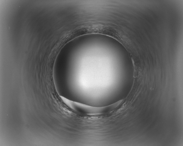 X0000080101153200612151613