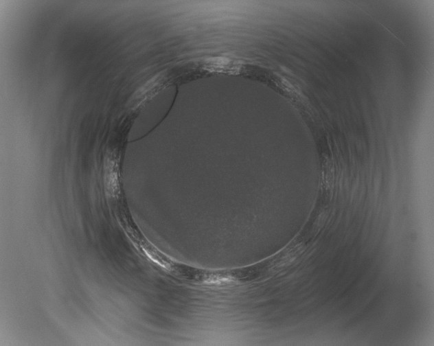 X0000080101154200612151613
