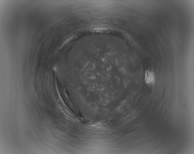 X0000080101155200612151613