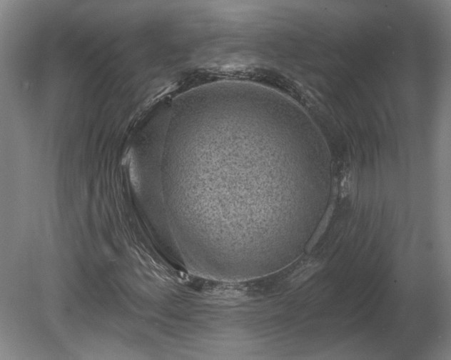 X0000080101156200612151613