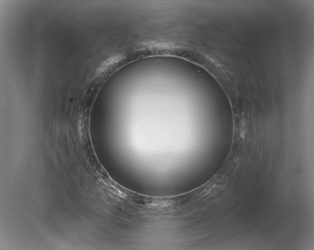 X0000080101157200612151613