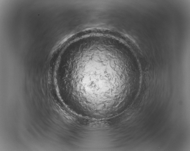 X0000080101159200612151613