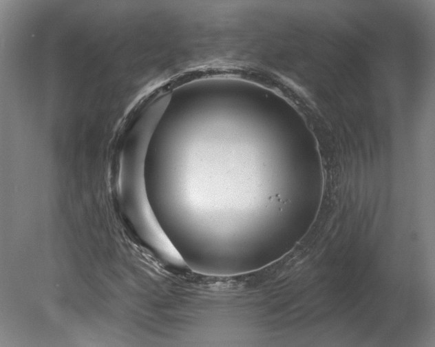 X0000080101160200612151613