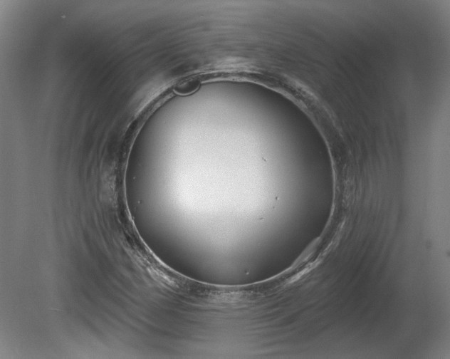 X0000080101162200612151613
