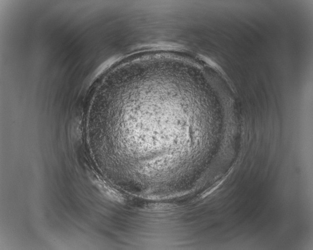 X0000080101163200612151613