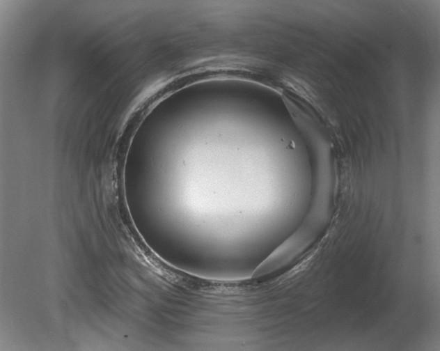 X0000080101164200612151613