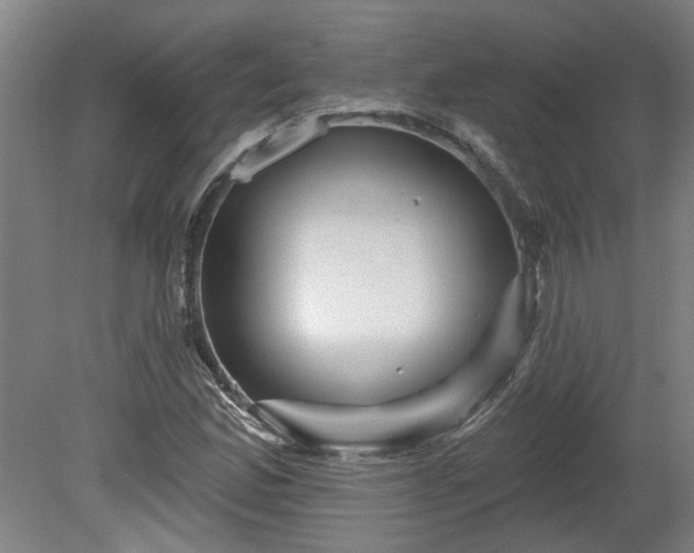 X0000080101165200612151613