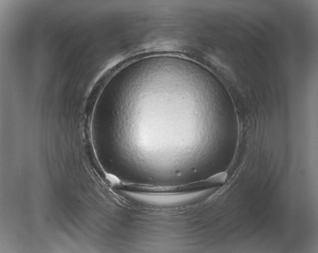 X0000080101166200612151613