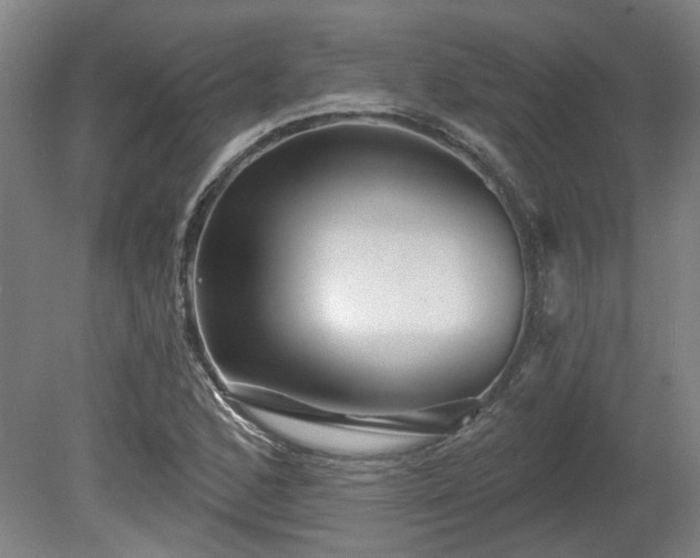 X0000080101168200612151613