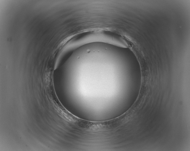 X0000080101169200612151613