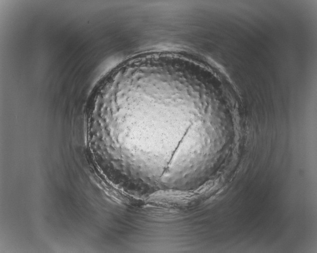 X0000080101171200612151613