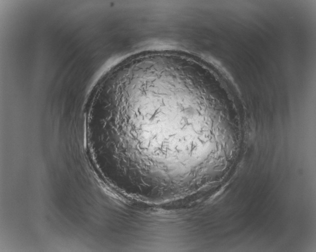 X0000080101175200612151613