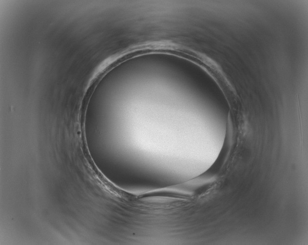 X0000080101176200612151613