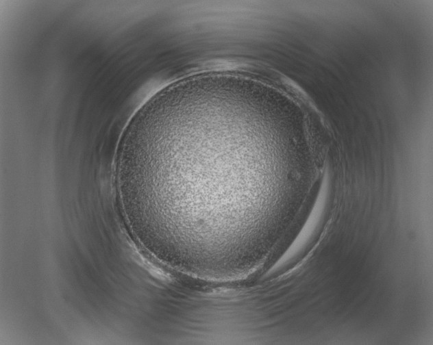 X0000080101178200612151613
