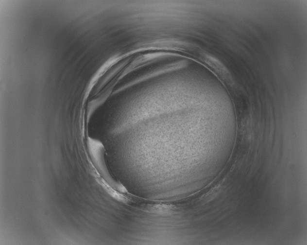 X0000080101180200612151613