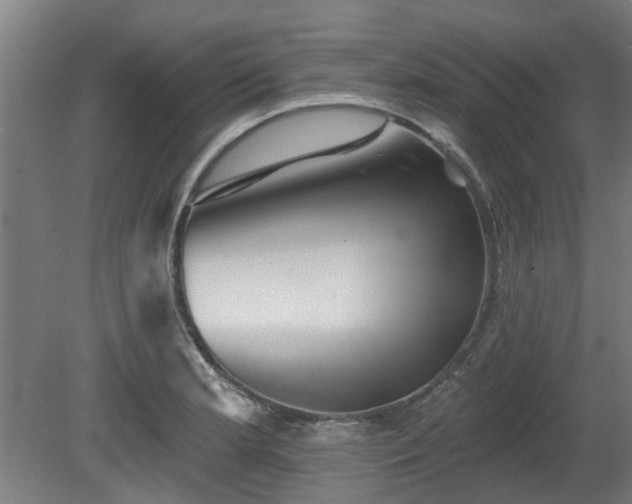 X0000080101181200612151613