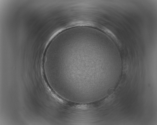 X0000080101182200612151613