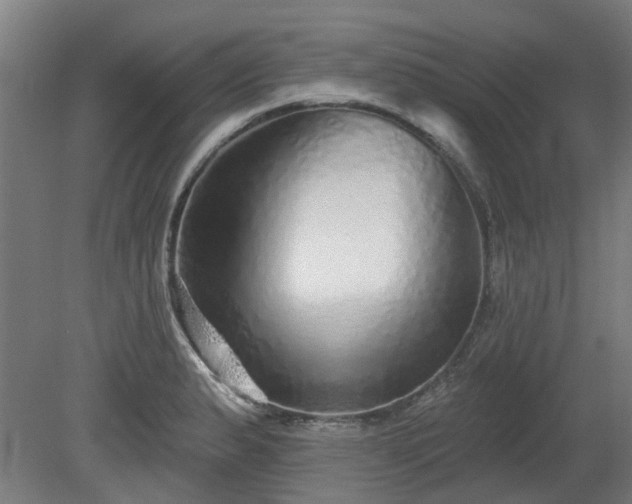 X0000080101183200612151613