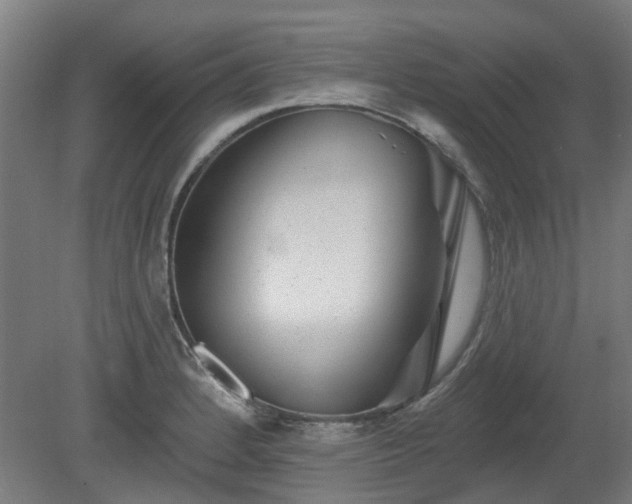 X0000080101184200612151613