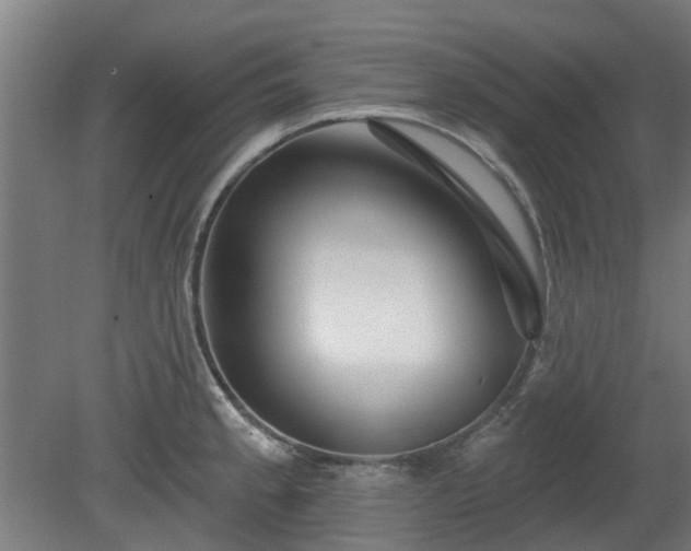 X0000080101189200612151613