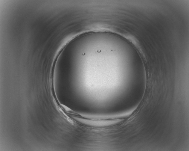 X0000080101191200612151613