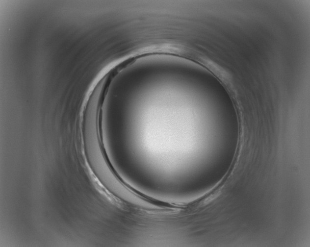 X0000080101200200612151613