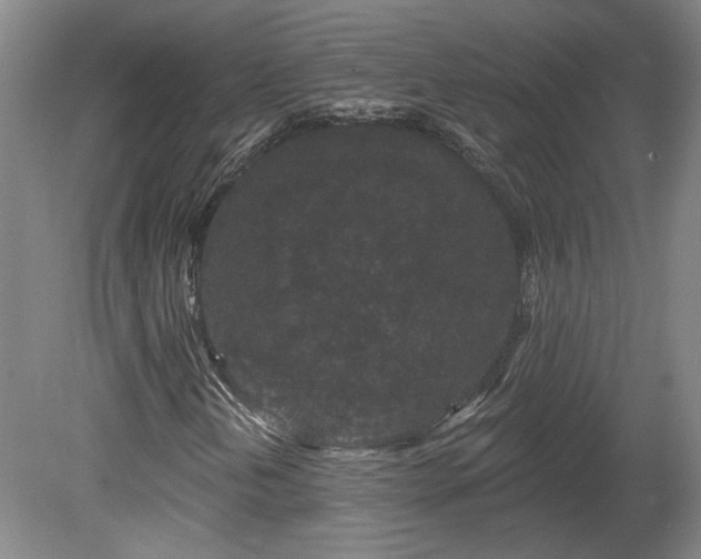 X0000080101202200612151612