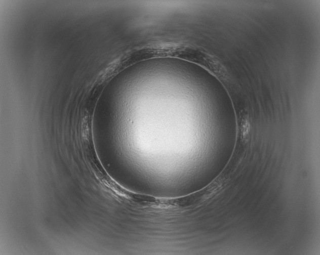 X0000080101204200612151612