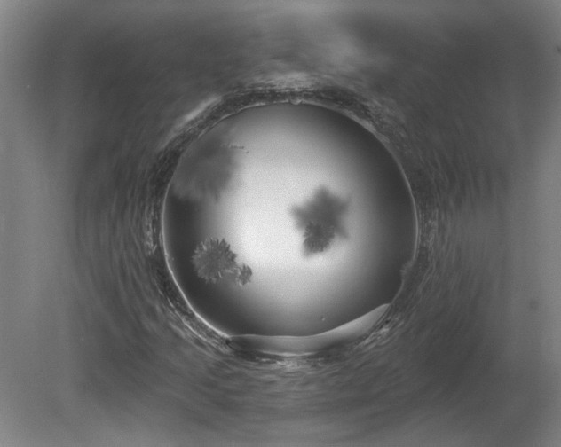 X0000080101205200612151612