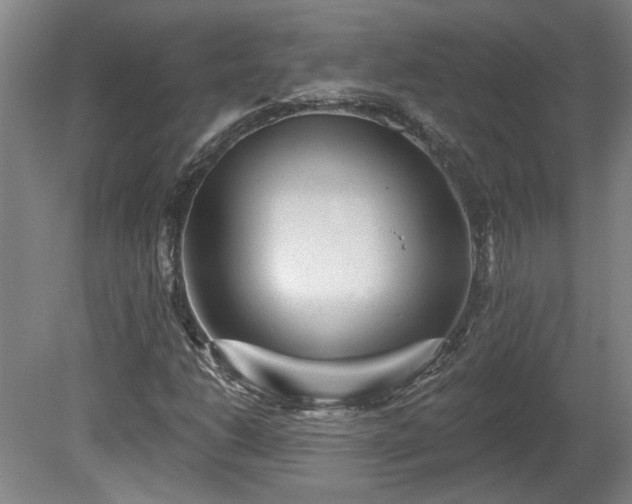 X0000080101206200612151612