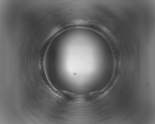 X0000080101209200612151612