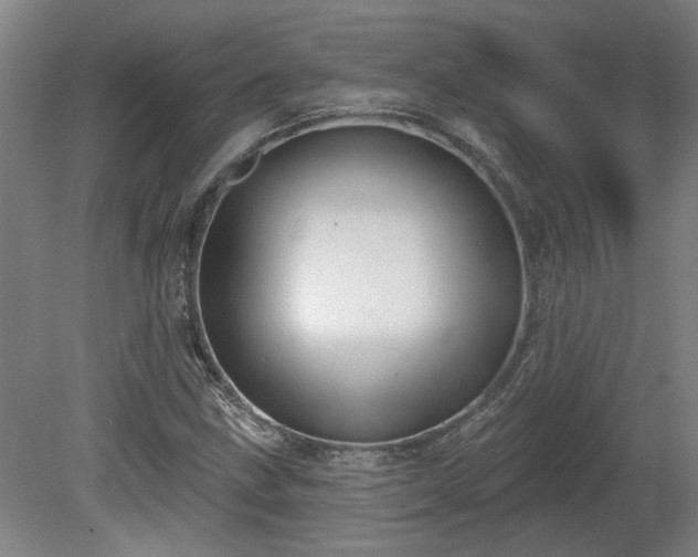 X0000080101211200612151612