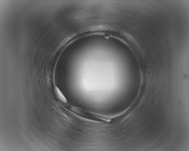 X0000080101217200612151612