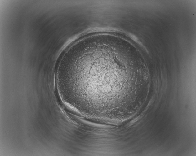 X0000080101221200612151612