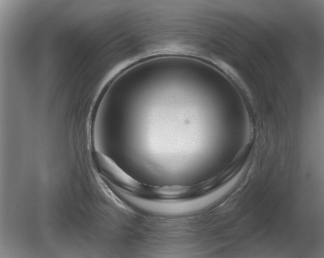 X0000080101238200612151613
