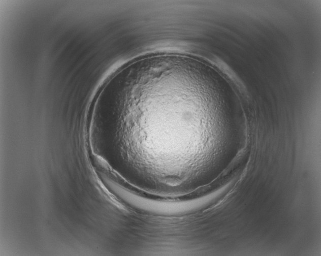 X0000080101240200612151613