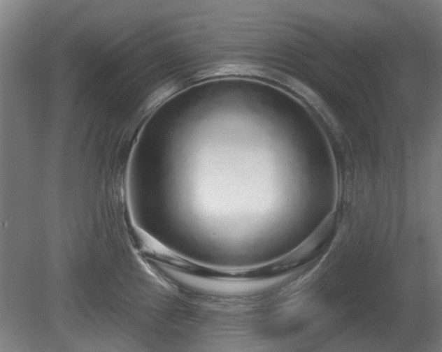 X0000080101241200612151613