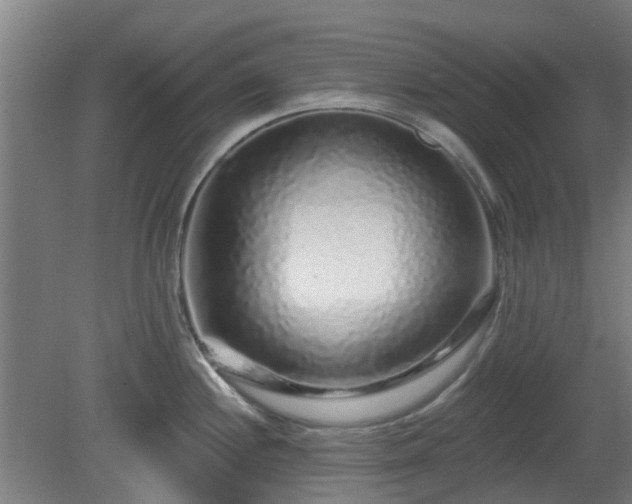 X0000080101244200612151613