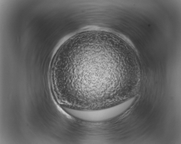 X0000080101247200612151613