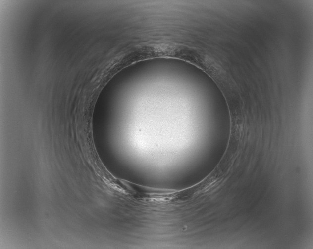 X0000080101249200612151612