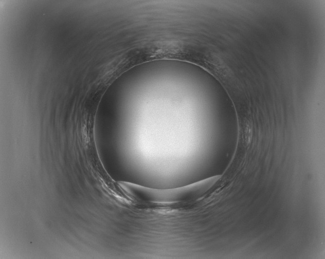 X0000080101250200612151612