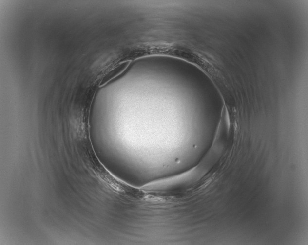 X0000080101252200612151612