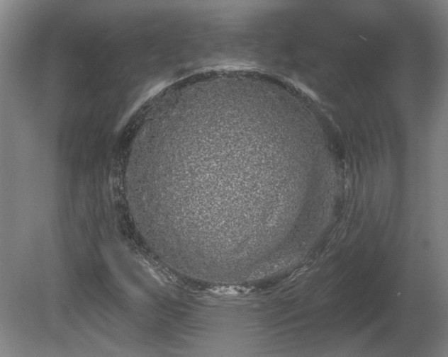 X0000080101255200612151612