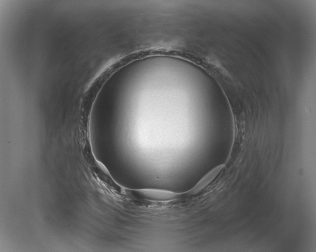 X0000080101256200612151612