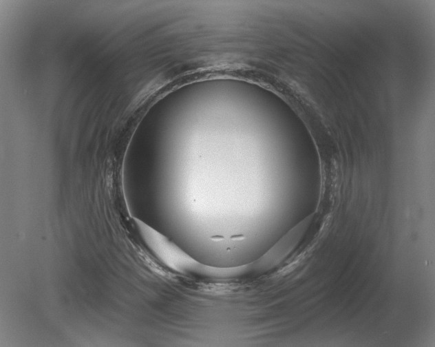 X0000080101257200612151612