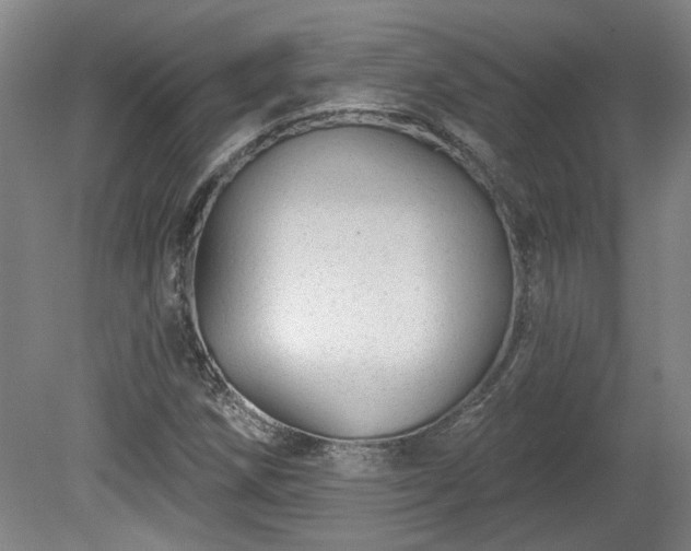 X0000080101258200612151612