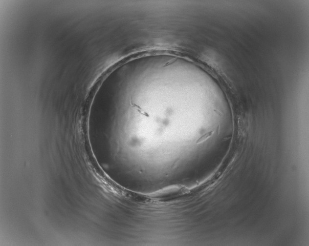 X0000080101260200612151612