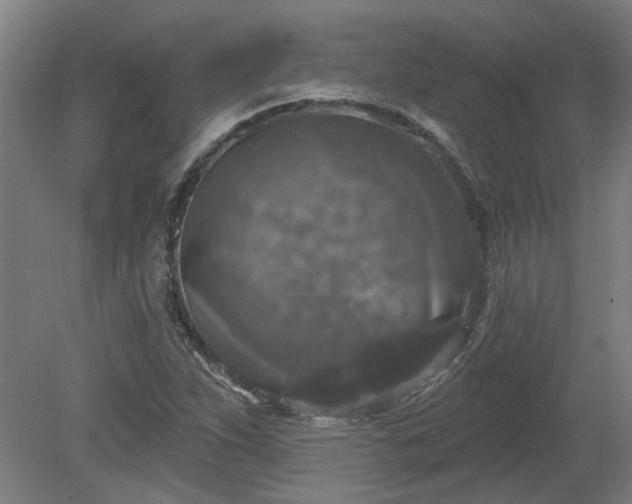 X0000080101263200612151612