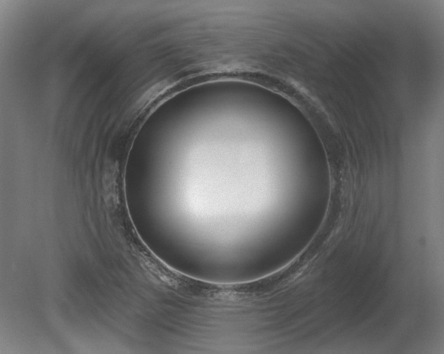 X0000080101265200612151612